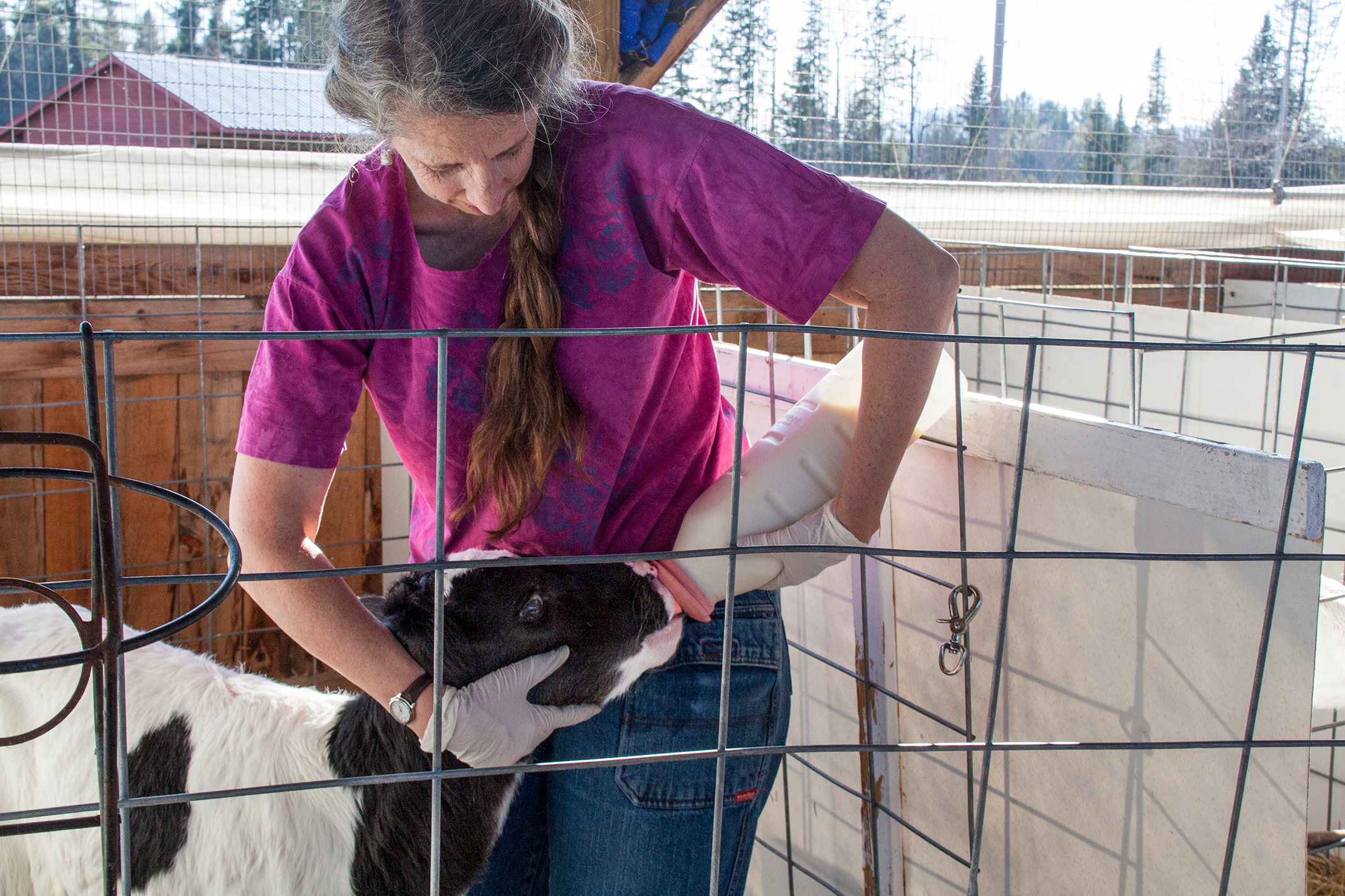 Liza feeding Lima Bean